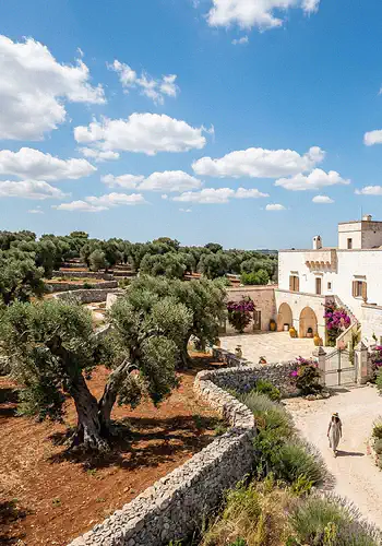 The Magic of Puglia's Masserias: Where Time Stands Still Amidst Olive Groves