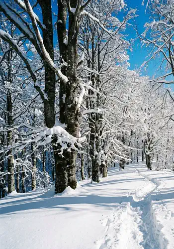 Winter Hikes in Umbria